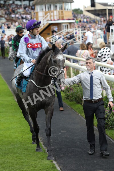 yr23072022r6-11 - Race 6 5.00pm Sky Bet Partnership with Support Dogs Stakes
