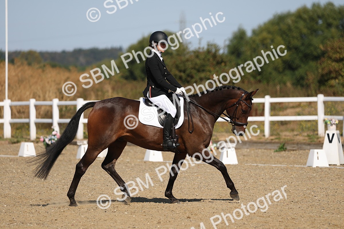 SBM_013450 - Class 1 - P5 Bronze 10.38.12.02