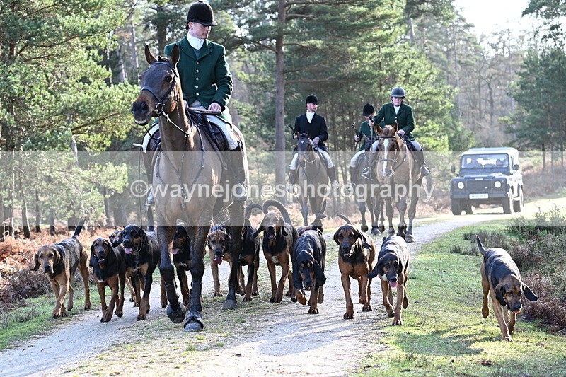 WJ7_7712 - Line 3 (no line 4 or 5)