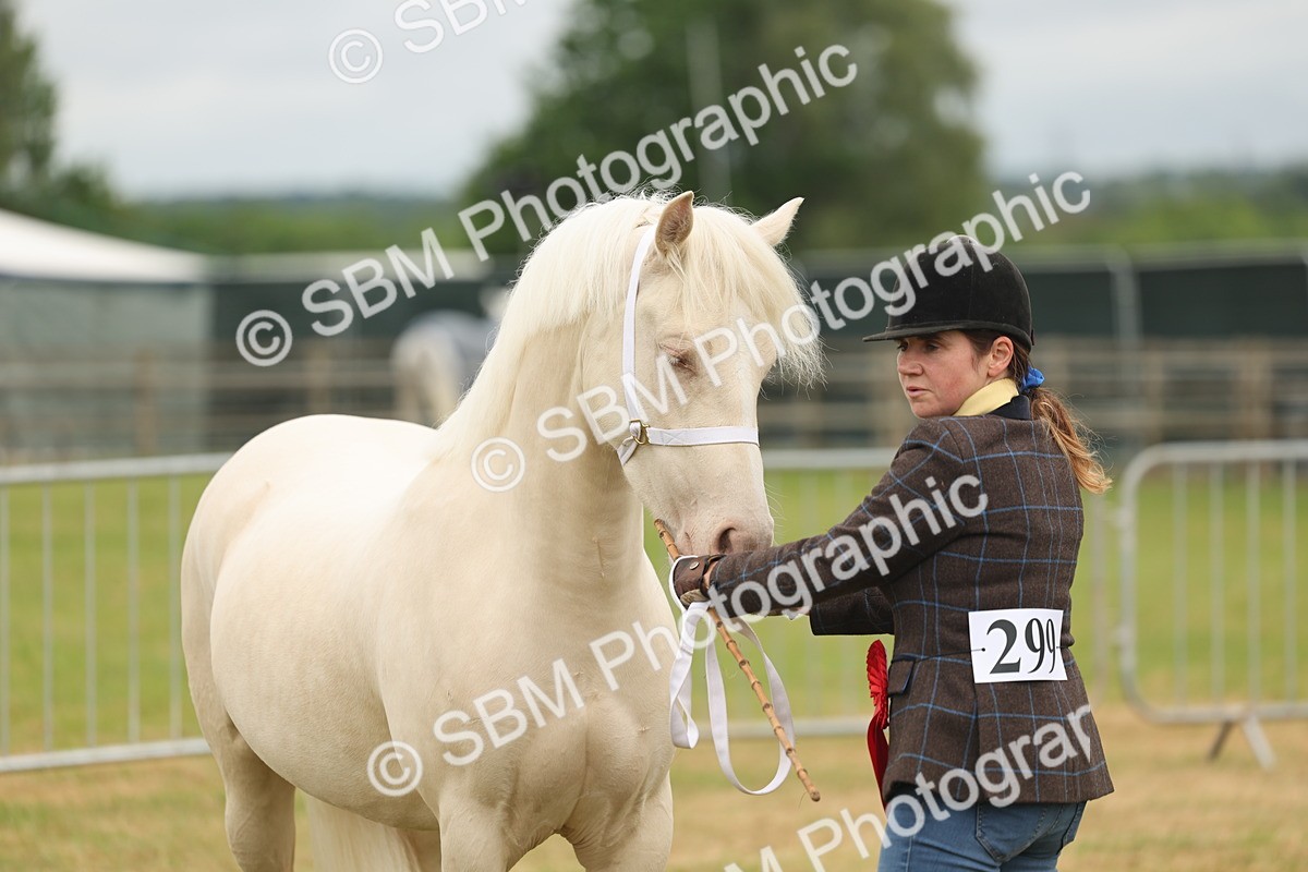 SBM_02440 - Class 50-57 - M&M Welsh Pony In Hand