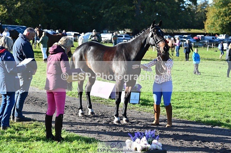 231022-101810-22393 - 430-HUNTSMAN.COM-Rachael.Watson-TrotUp+SJ