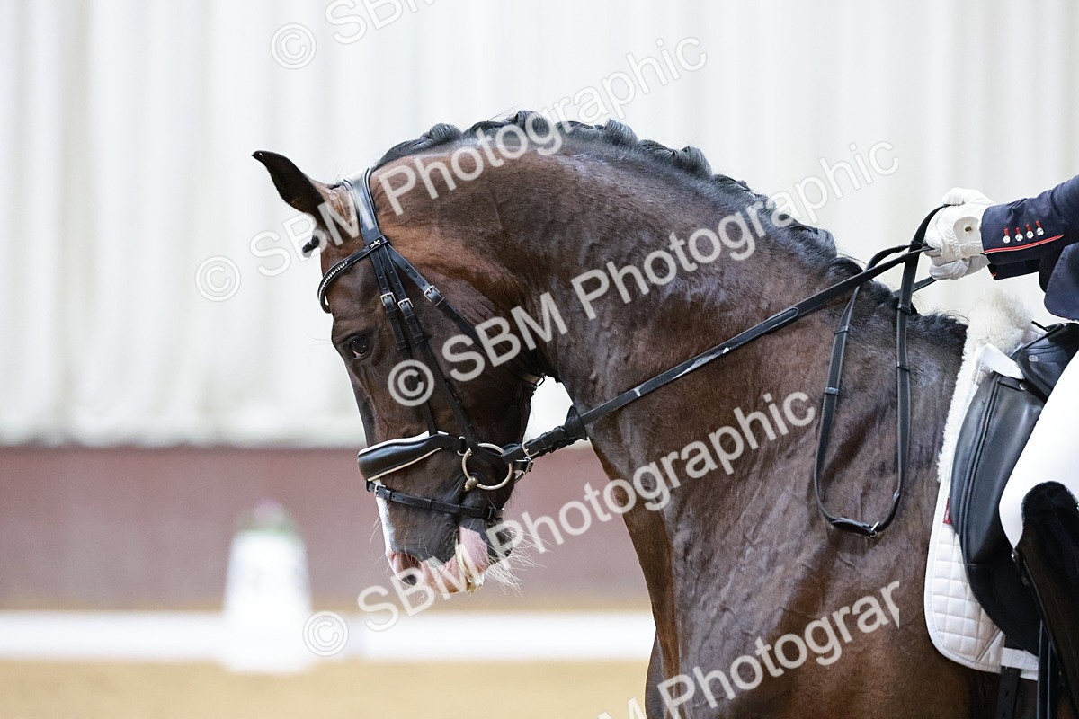 SBM_006251 - Class 3 - Medium 6 - 16.16-17.28