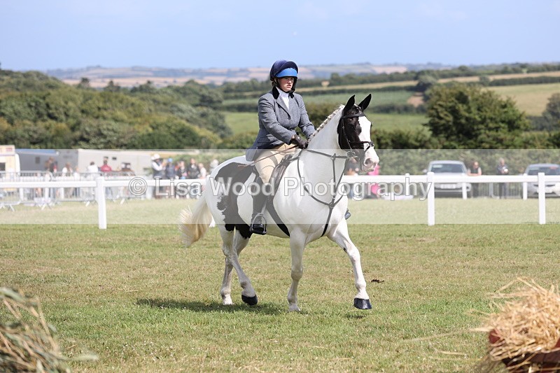 JPP_2199 - Class 19: Working Hunter 60cm