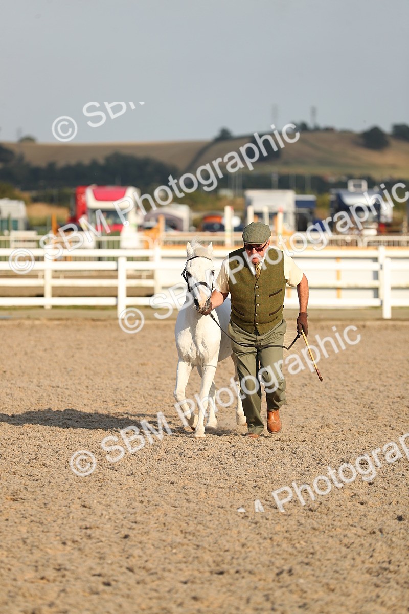 SBM_09021 - Class 29 IH Veteran Pony