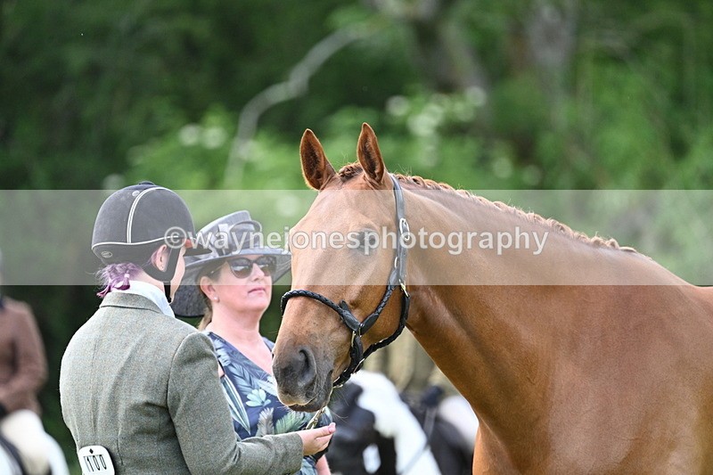 WJ7_1453 - Class 11 Condition & Turnout