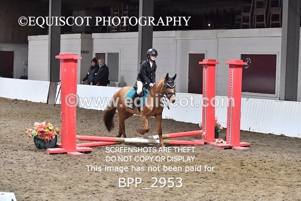 BPP_2953 - CLASS 0 Clear Round Show Jumping