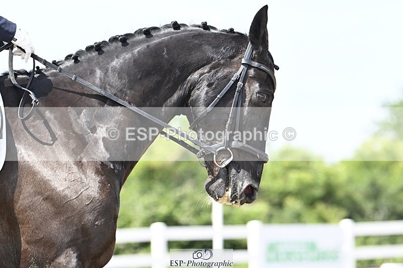 250621-135743-10512 - Cls 29 - Elementary 5, Start to 14.10