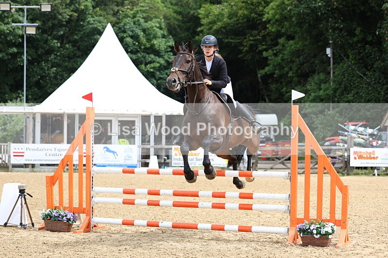 3E7A5959 - Class 4: Senior British Novice/90cm open