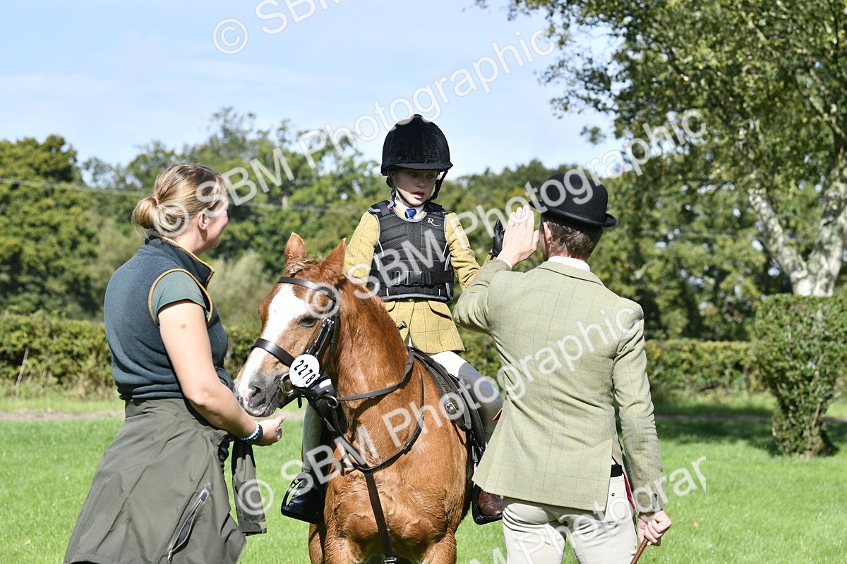 SBM_38234 - S31 - Novice & Newcomer Working Hunter Pony
