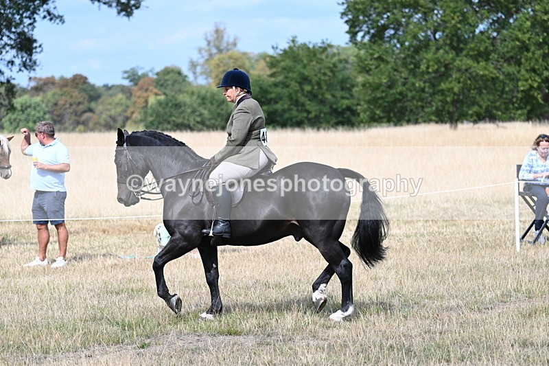 WJ7_5870 - Class 13 Ridden Veterans