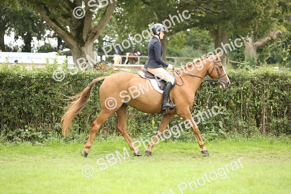 SBM_73676 - S41 - Ridden Equitation (Best Rider)