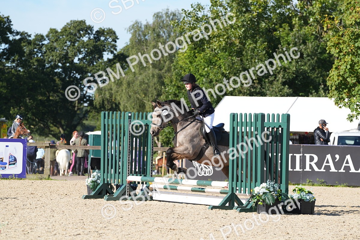 SBM_36133 - J 20 - Junior Horse 50cm Championship