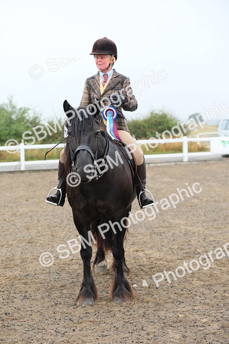 SBM_20376 - Class 803 - Ridden Combination 65+