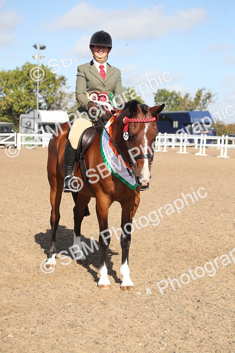 SBM_22729 - Class 601 - 2026 - Area - Ridden Diamond