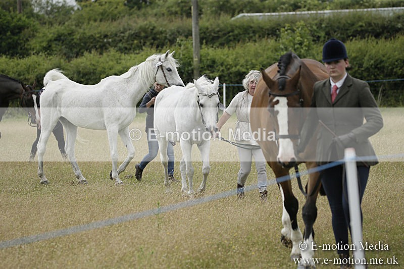 B230619-0560 - Bourne Valley Riding Club Summer Show 23/06/19