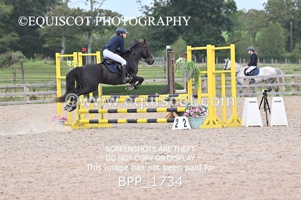 BPP_1734 - CLASS 12 Pony BritiNovice / 0.80m Open