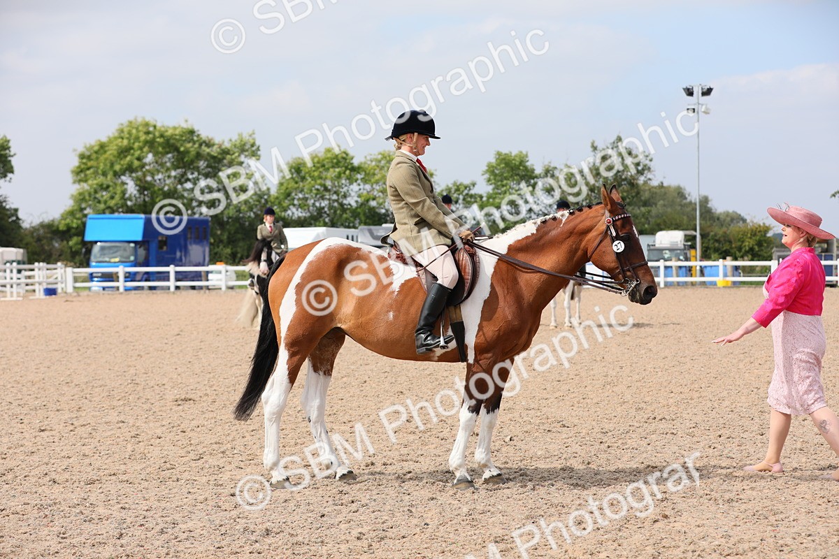 SBM_13416 - Class 308 Ridden Coloured Horse