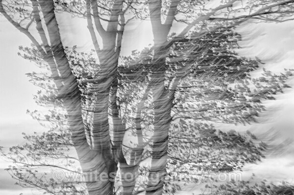  - Slow Photography
