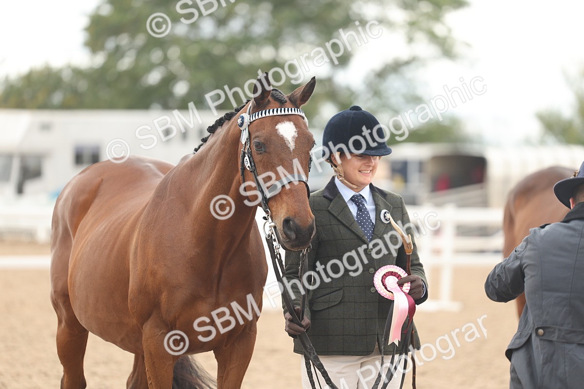 SBM_17160 - Class 313 - IH Retired Racehorse