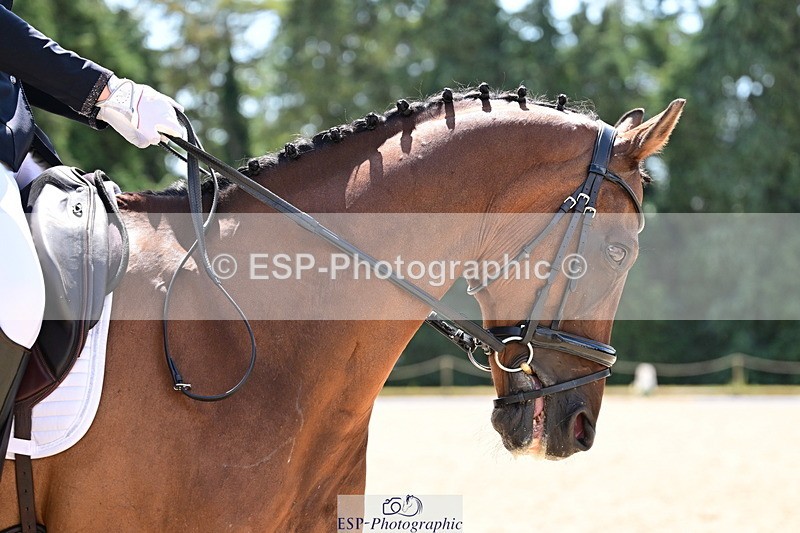 260731A-125316-00920 - Elementary Bronze Break- End