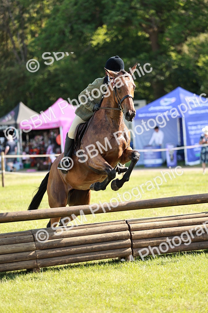SBM_19145 - Class 115-116 - LIHS BSHA Rising Star Working Hunter & Show Horse