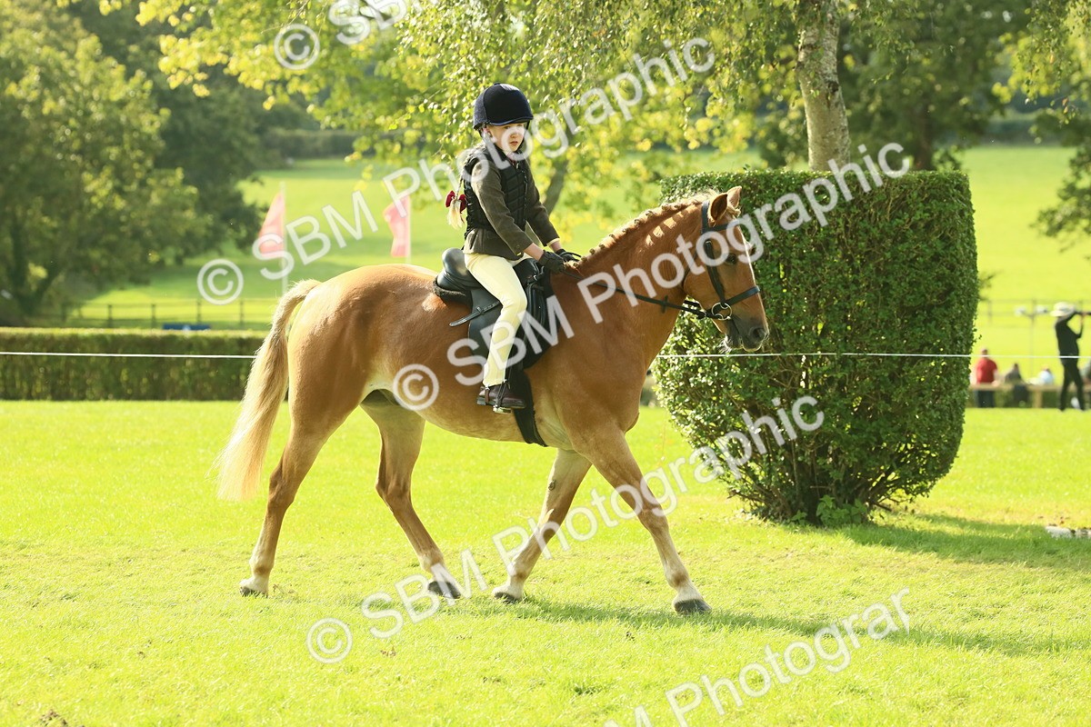 SBM_62396 - S62 - Foreign Breeds Ridden