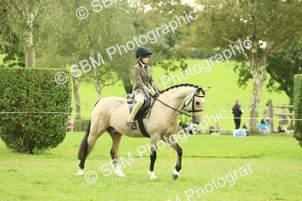 SBM_73912 - S 61 - Show Pony & Show Hunter Pony Ridden