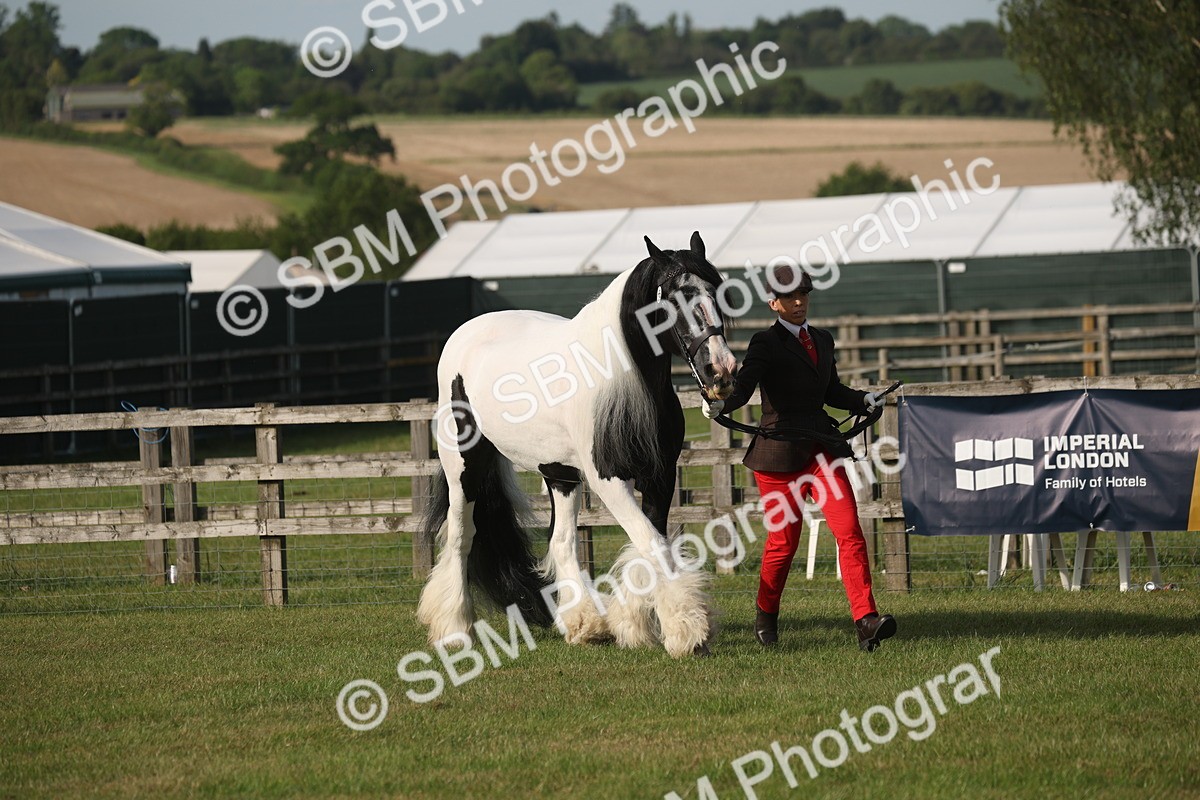 SBM_10548 - Class 33-38 - SSADL RIHS Qualifiers