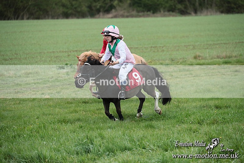 SHETPR 210425 200 - Shetland Ponies Paxford Races 21/04/25