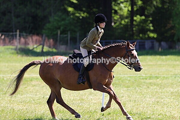 IMG_3946 - Working Hunter