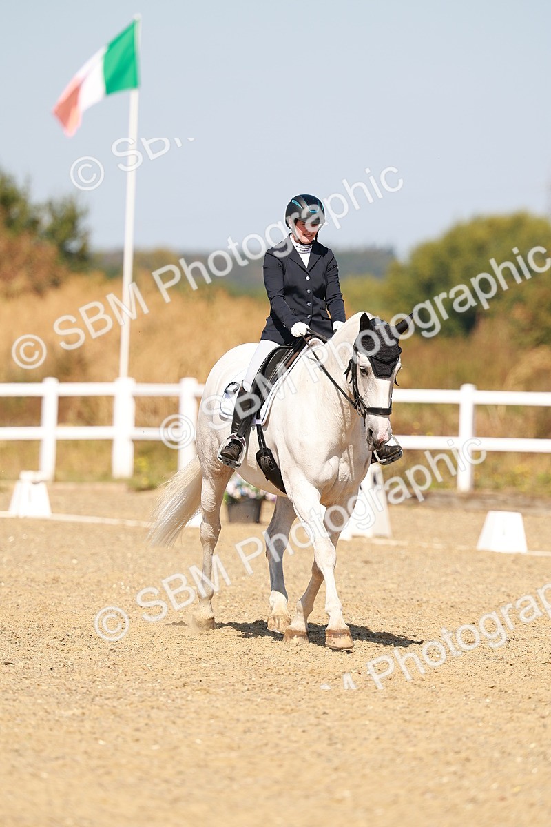 SBM_017823 - Class 9 - N5 Bronze 10.33.11.36
