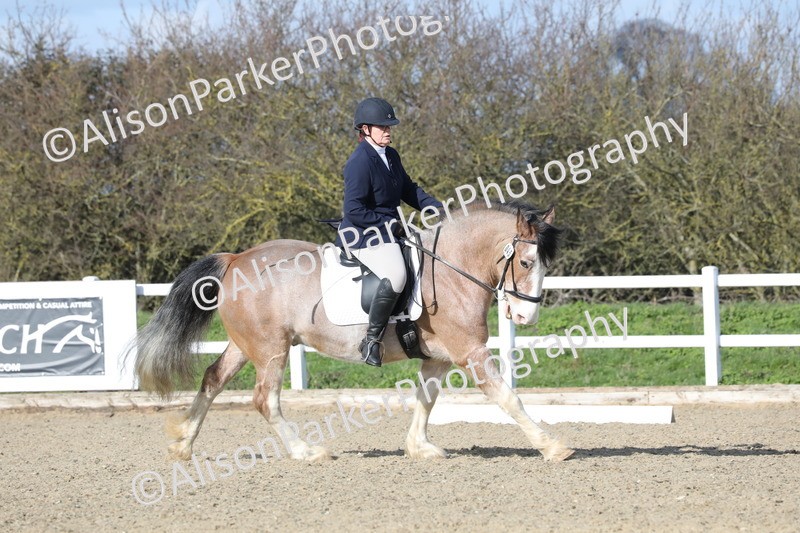 20260314-5014 - CT6 - Elementary 1