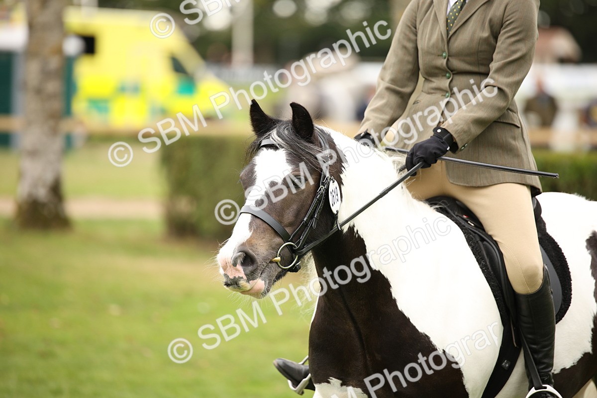 SBM_73552 - S68 - Traditional Cob Ridden