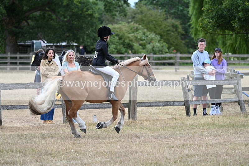 WJ7_7175 - Class 2 Best Rider