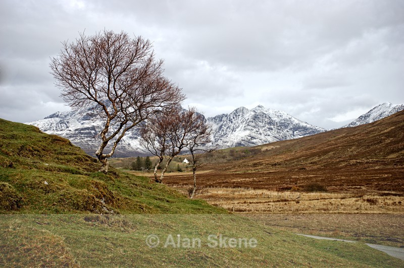 DSC04023 - Skye