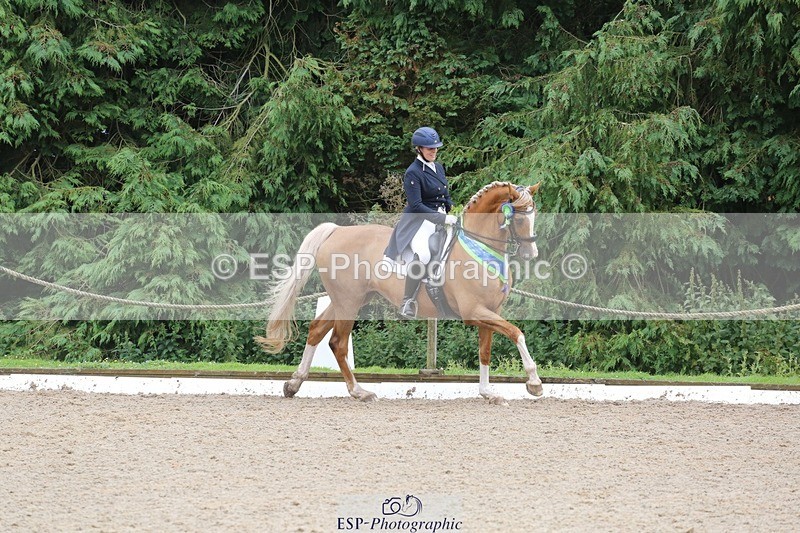 240720-155043-06741 - Cls 9 FEI Inter I BRONZE