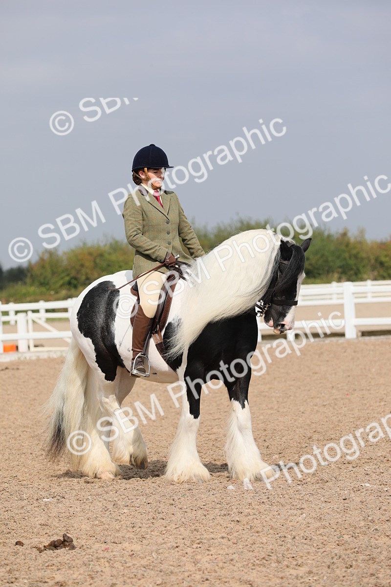 SBM_12837 - Class 307 Ridden Coloured Pony