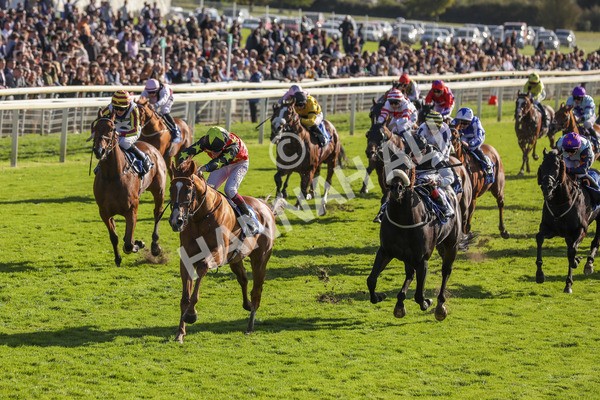 141023-Race 3-Montassib-0408 - Race 3 2.25pm Coral Sprint Trophy Handicap
