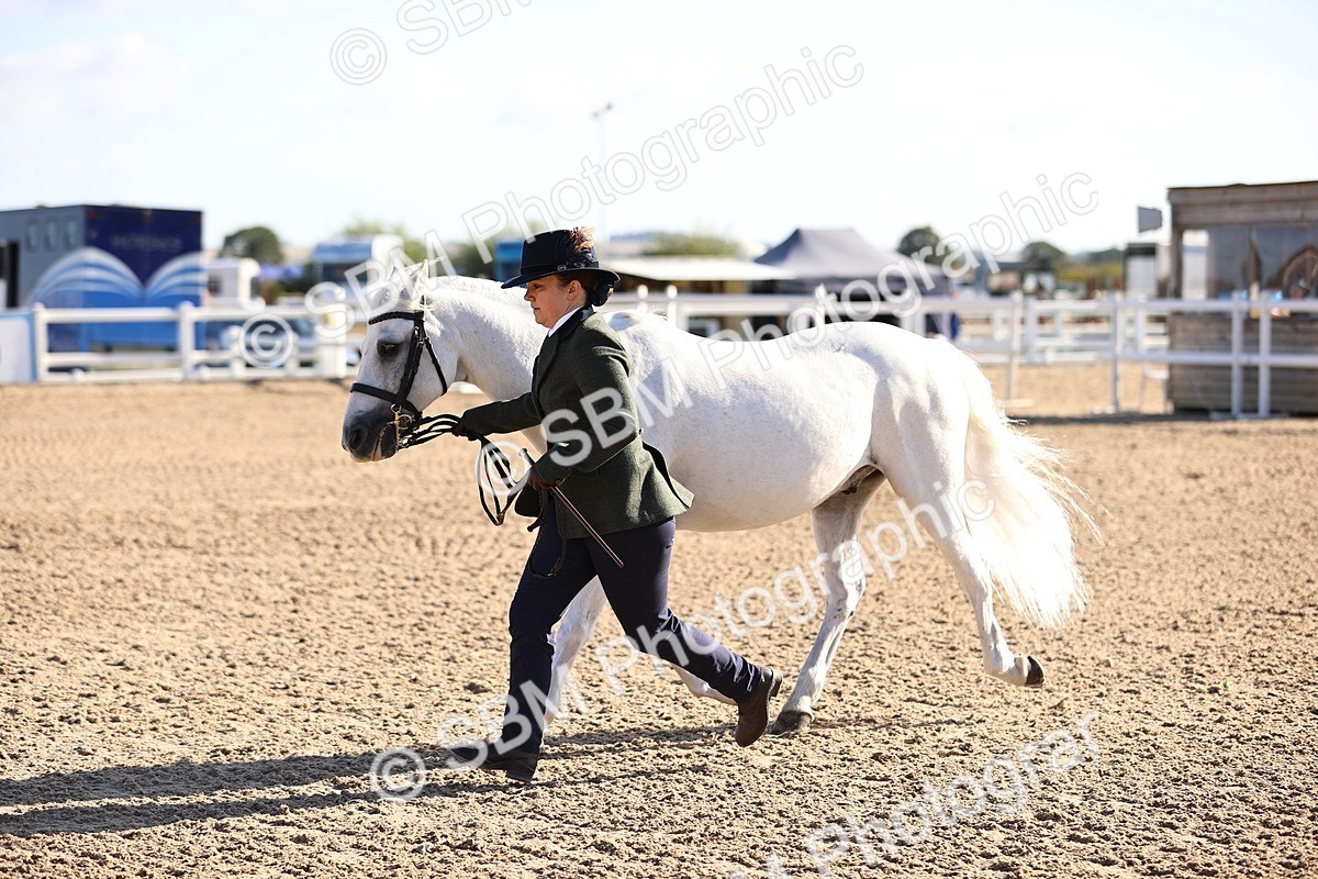 SBM_08495 - Class 402 - IH Veteran Pony