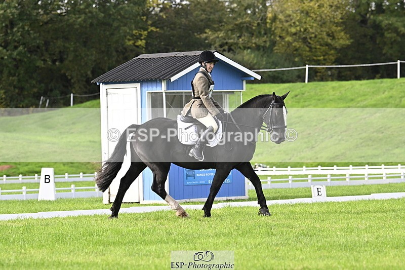 251023A-105842-02969 - F-410-Kt.English-Baillie