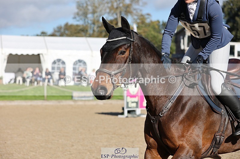 241027-111859-16698 - 357-Eleanor.Newcombe-MR.DARCY