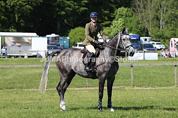IMG_4632 - Working Hunter