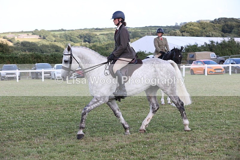 JPP_3571 - Class 22: Working Hunter 90cm