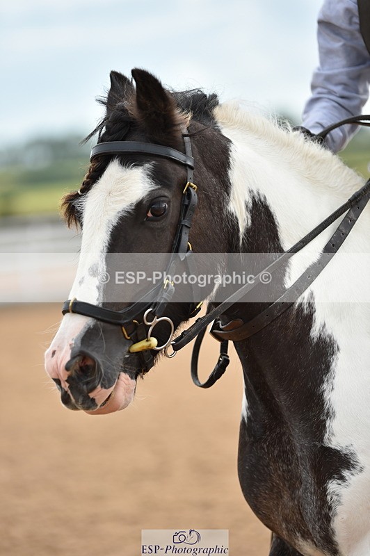 230803A-162240-01354 - Thomasina's Group Ride