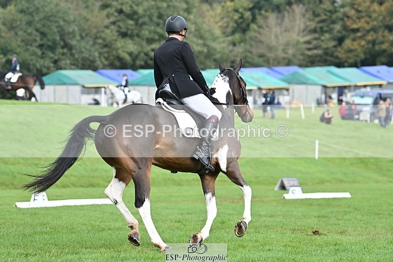 231020-104008-07676 - 640-UP.TO.MISCHIEF-Will.van.Ufford-DR