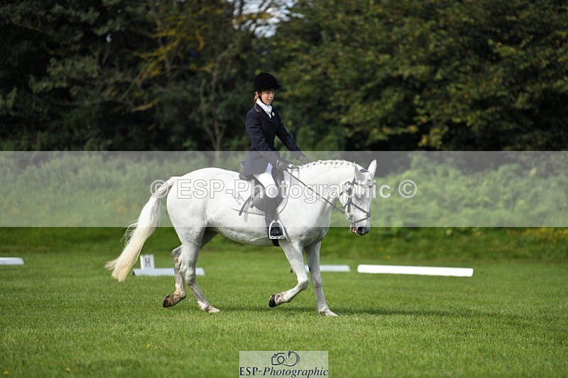 230826-104634-15602 - Sections C & D 10 to End