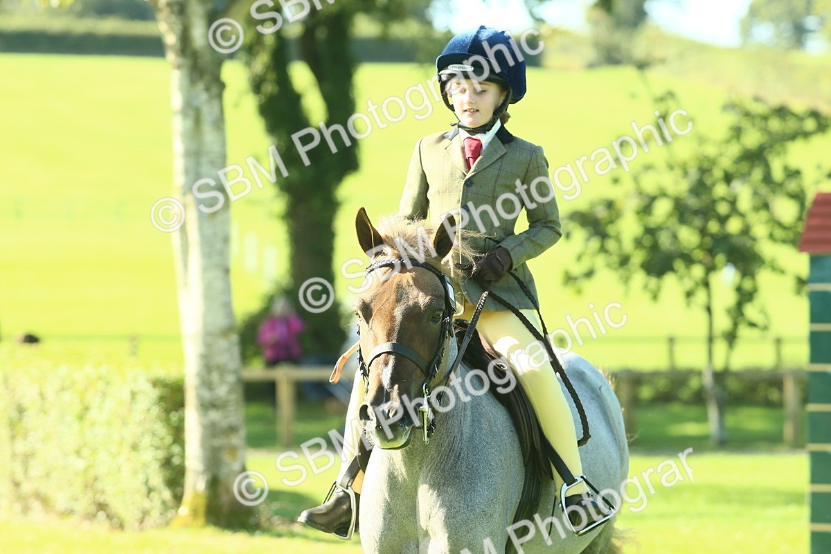 SBM_36451 - S29 - Novice & Newcomers Working Hunter Pony