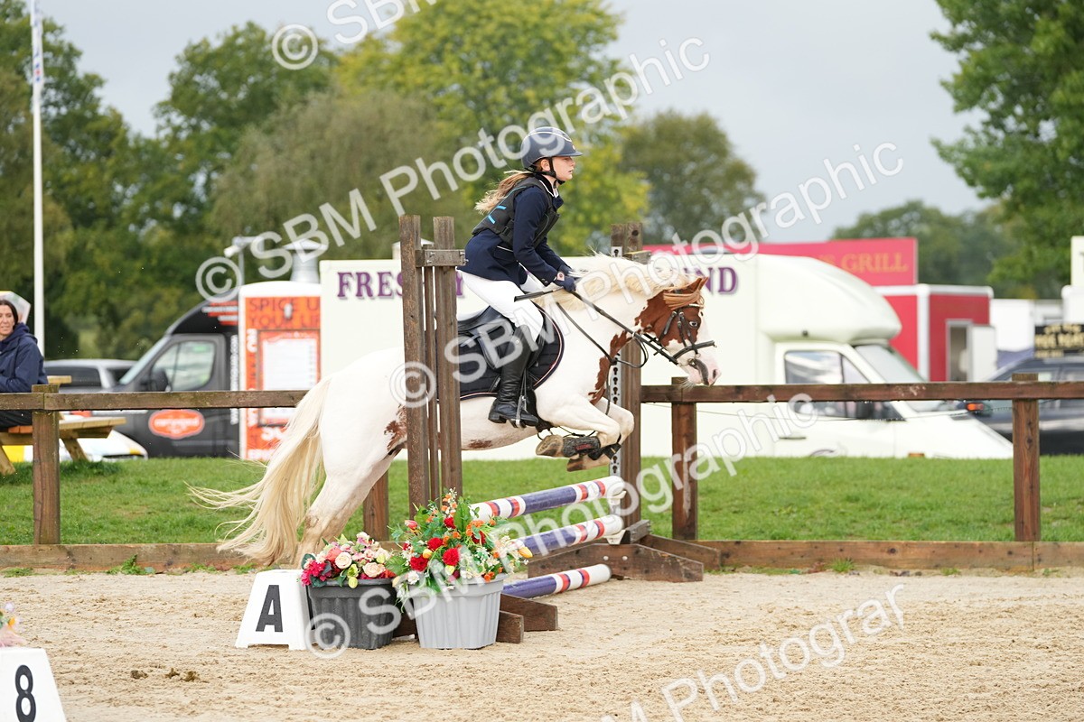 SBM_32440 - J5 - Junior Pony 50cm Championship