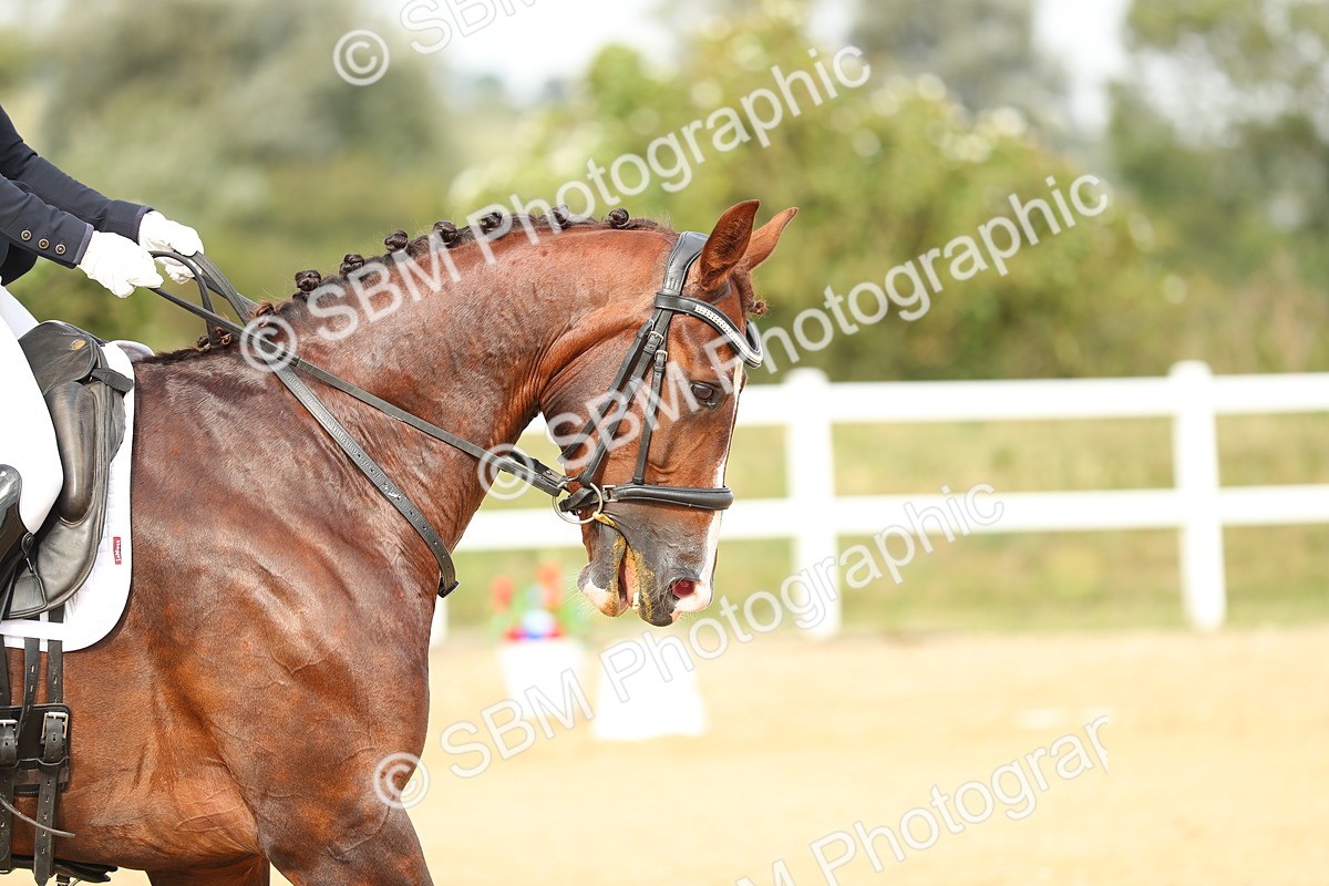 SBM_018450 - Class 14 - Novice 23 - 15.16-16.19