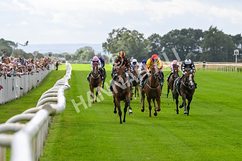 090824-Race 3-South Parade-4484 - Race 3